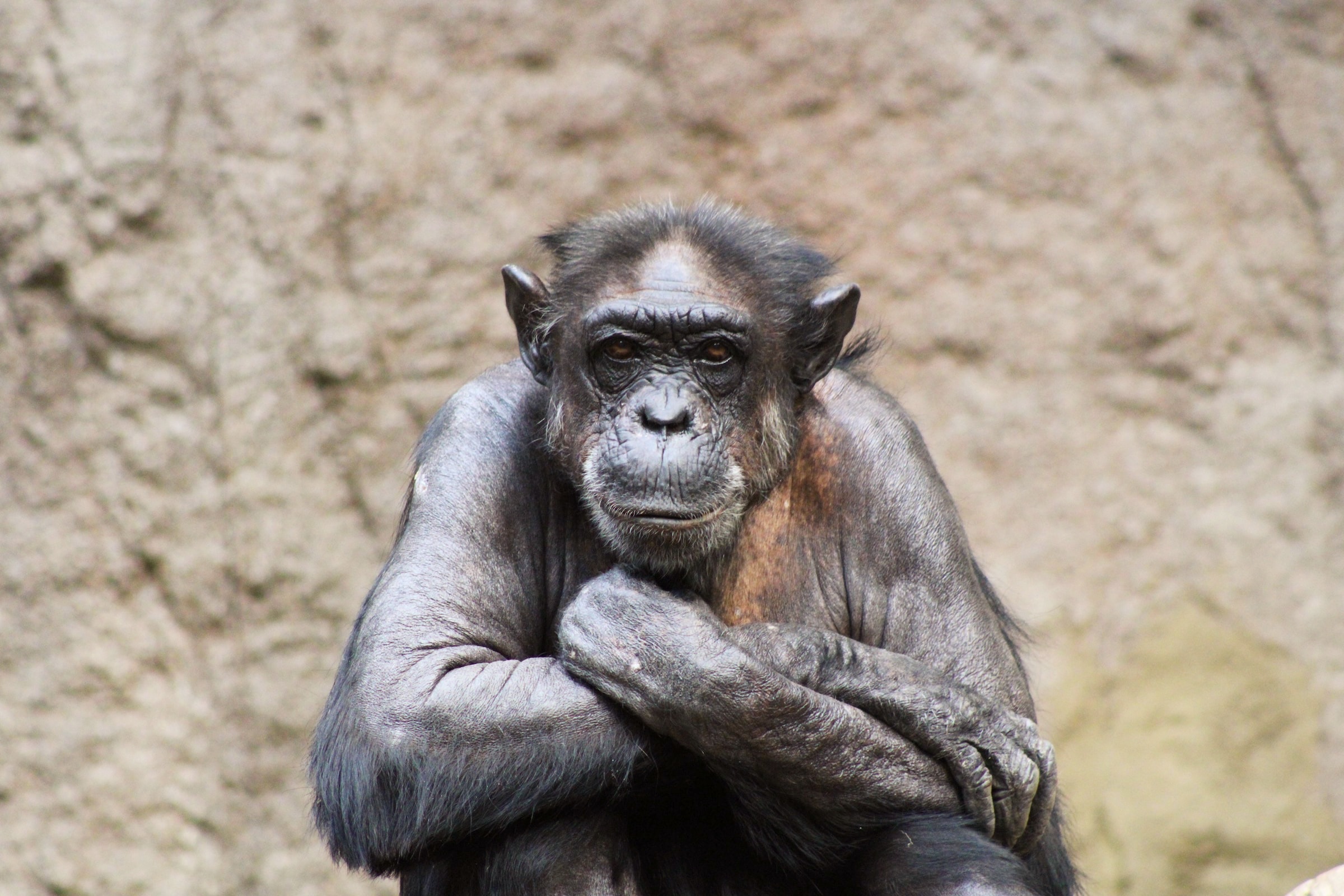 Functional Programming In Bash Harnessing The Power Of Simplicity
