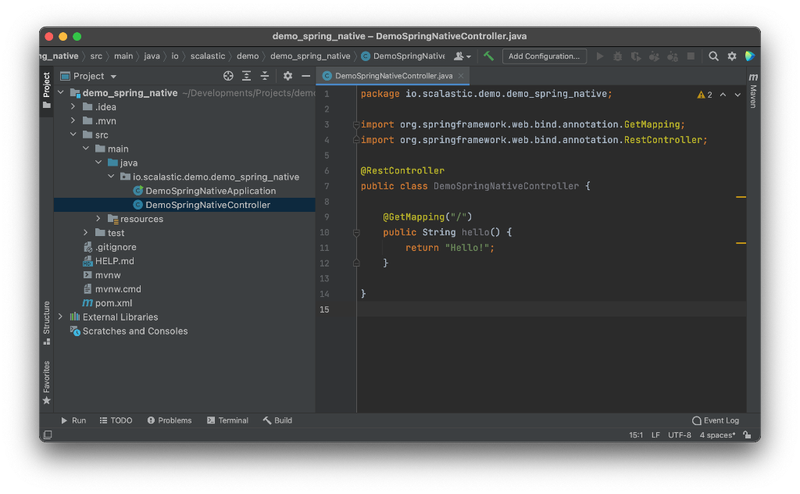 The project and its Controller in IntelliJ IDEA